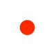Fard Fluorescent