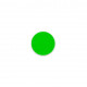Fard Fluorescent